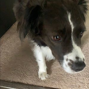 Meet your Posher, Parker